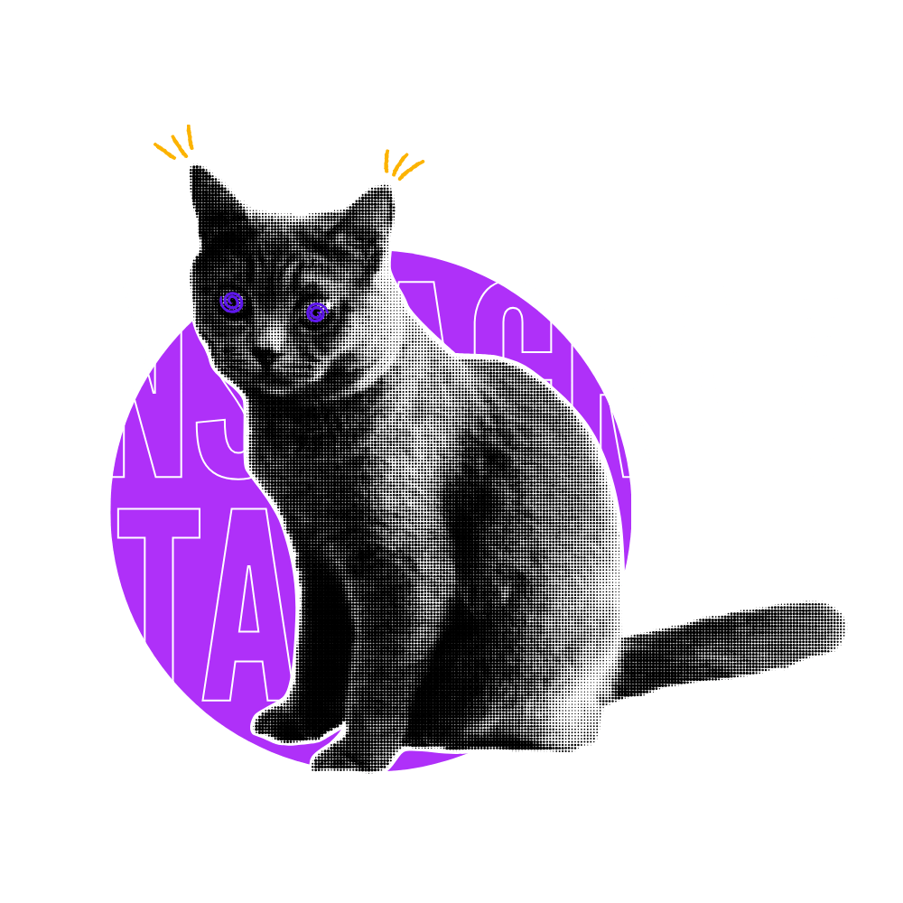 Instagram Takipçi Arttırma