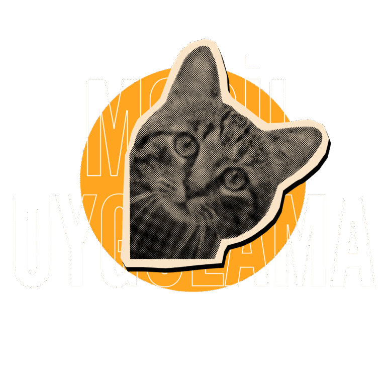 Mobil Uygulama Tasarımı