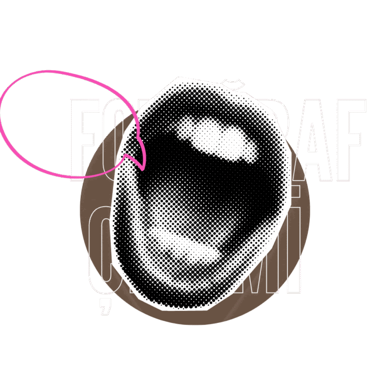 Fotoğraf Çekimi Nedir?