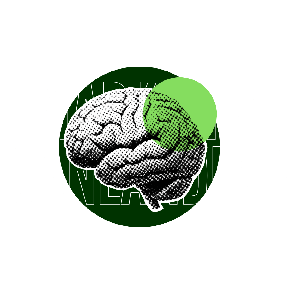 Markanızı Canlandırın