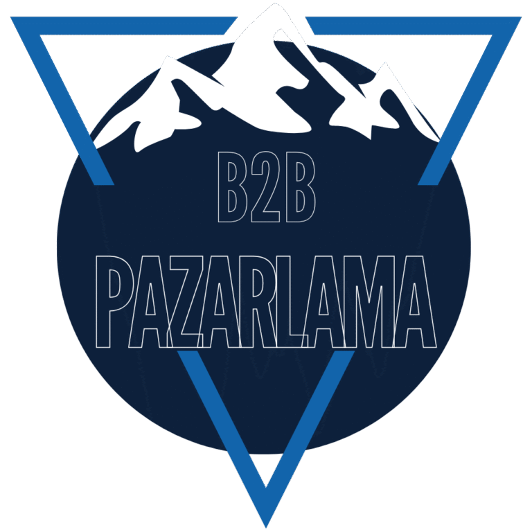 Zirveye Taşıyan B2B Pazarlama