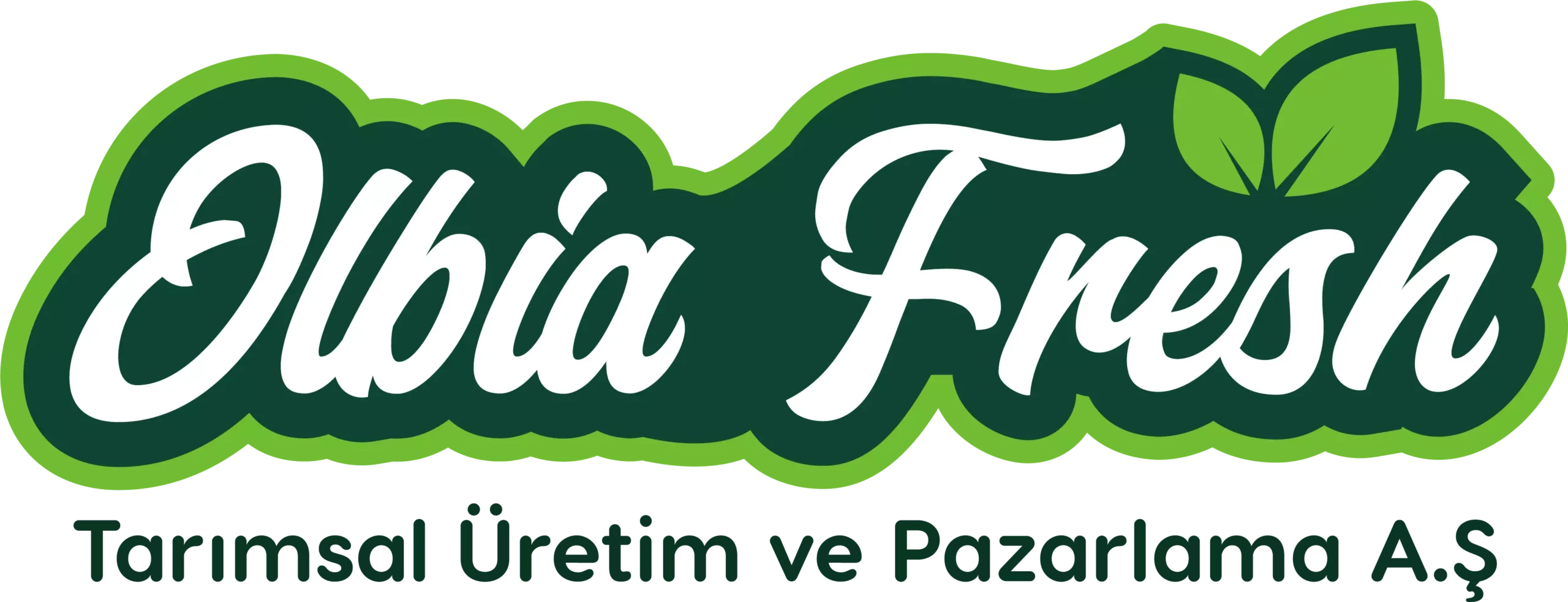 Olbia Fresh